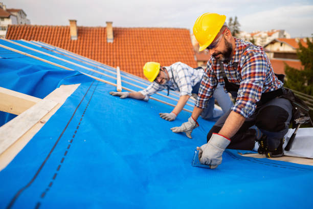 Best Local Roofing Companies  in Ogdensburg, NY